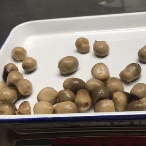 Nuovo raccolto alimenti integrali in scatola freschi secchi paglia di funghi e ostrica marrone funghi conservati in salamoia - Product Image 4