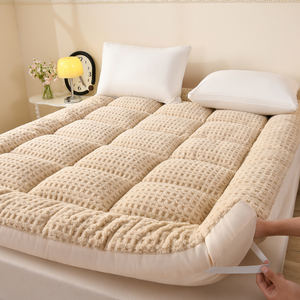 Nouveau matelas coussin multifonctionnel en duvet d'oie et velours, qualité A, toutes saisons, <span class=keywords><strong>sortie</strong></span> d'usine 2026 - Product Image 5