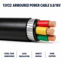 Kabel Daya Berisolasi XLPE 0.6/1kV Berlapis PVC dengan Pelindung Baja, Konduktor Tembaga, untuk Pemasangan Bawah Tanah 1C*50/95/150/240/400mm2