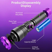 Lampe torche UV rechargeable Type-C puissante 20W, durable, lumière UV violette 365nm pour séchage d'encre et détection fluorescente de billets