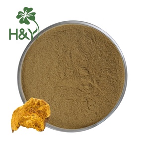 ผงสารสกัดจากเห็ดหวังหวังสารสกัดจาก Phellinus Linteus อาหารเสริมสุขภาพ - Product Image 5