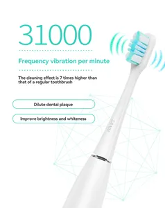 Ipx7大人用電動歯ブラシオプションのクリーニング誘導充電環境にやさしいスタイリッシュなソニック歯ブラシ