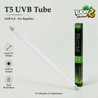 Tube fluorescent Lucky Herp T5 8W UVB5.0, économie d'énergie, respectueux de l'environnement, lumière naturelle pour reptiles et amphibiens, 12 pouces, 7000-8000K, 8000 heures, CRI