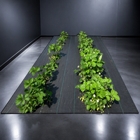 Toile paysagère robuste de 1,2 m pour le contrôle des adventices – Tapis anti-mauvaises herbes