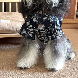 JM-Nueva llegada Snowy Retriever y camisa con estampado de gran danés para perros-Ropa para perros - Product Image 5