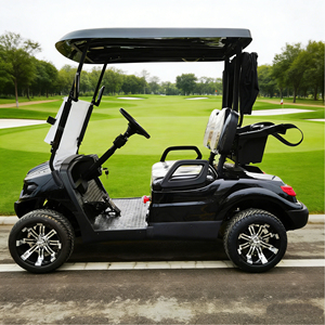 Minicar Elettrica da Golf e Buggy per Aeroporto a 2 Posti, Fabbrica OEM, con Batteria al Litio 60V, Certificazione CE, Autonomia di 90km, Potenza Elevata, ATV - Product Image 2