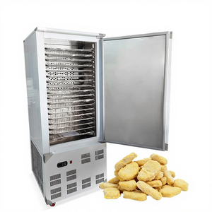Congelatore Rapido Industriale Automatico <span class=keywords><strong>ORME</strong></span> con 6/30 Vassoi in Acciaio Inox e Motore -40°C per Pizza e Pesce - Product Image 1