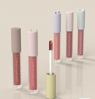 Vente flash - Emballage de gloss à lèvres de luxe 2 ml - Tubes de gloss à lèvres avec gros pinceau - Flacon d'huile à lèvres