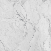 Dalles de sol et de mur en pierre frittée Camou White 1600x3200, épaisseur 12 mm, design moderne, résistantes à l'usure, antidérapantes, pour salle à manger