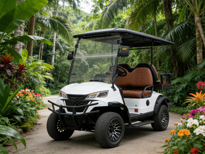 Voiturette de golf électrique 4 places, design compact et robuste, idéale pour les vignobles, les loisirs et les trajets sur les terrains de golf, pour les routes non publiques. - Product Image 2