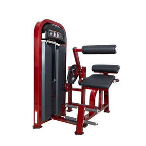 Meilleure vente : Machine de musculation à câble en acier et alliage d'aluminium de qualité supérieure pour extension dorsale, <span class=keywords><strong>prix</strong></span> usine - Product Image 6