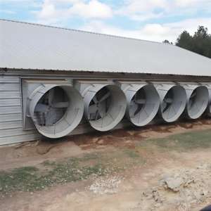 Capannone Agricolo a Basso Costo in Struttura d'Acciaio, Costruzione di Allevamenti Avicoli, Pollaio Industriale - Product Image 4