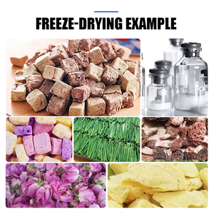 เครื่องเป่าแช่แข็งสุญญากาศเครื่องอบแห้งแช่แข็งผักและผลไม้ - Product Image 3