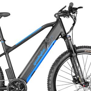 Gros Pneu E-MTB Velo Electrique 48V 500W avec Tube Intérieur Batterie - Product Image 2