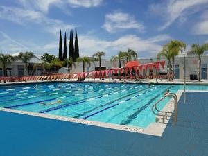 <span class=keywords><strong>Tapis</strong></span> <span class=keywords><strong>de</strong></span> <span class=keywords><strong>sol</strong></span> en PVC antidérapant à drainage en vinyle, type tube, <span class=keywords><strong>tapis</strong></span> antidérapant en rouleau, <span class=keywords><strong>tapis</strong></span> tubulaire <span class=keywords><strong>rond</strong></span> en PVC creux - Product Image 3