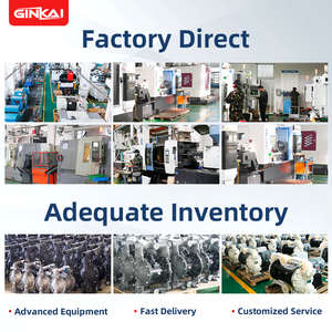 रासायनिक उद्योग में थोड़ा घर्षण स्लाइस के लिए पीटफ डायाफ्राम के साथ gk 1 "पॉलीप्रोपाइलीन न्यूमेटिक डायाफ्राम पंप - Product Image 5