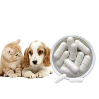 Blister pour aliments pour chiens de marque privée Capsules multivitaminées Nutrition Multivitamines Vitamines et suppléments pour chiens
