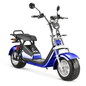 Europe North America South America hot sale electrico electronic scooter e-scooter