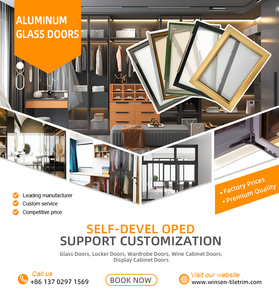 Winsen AGD-021 Marco de Puerta de Gabinete de Aleación de Aluminio 6063-T5 con Frente de Vidrio de Foshan, Marco Cuadrado Negro Extruido, Manija Integrada Doble - Product Image 5