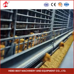 Cage à poulet entièrement automatique de type h avec couveuse de poussins de 20000 couches - Product Image 2