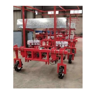 In primavera trapiantatrice multifunzionale per piantine/trapiantatrice per verdure/trapiantatrice per cipolle - Product Image 3