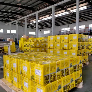 Disque de frein à disque pour camion robuste, pièces de rechange, haute qualité, pour <span class=keywords><strong>tracteur</strong></span> <span class=keywords><strong>tracteur</strong></span> robuste, livraison gratuite, 701812002 WVA 29195 OEM 09291072 - Product Image 6