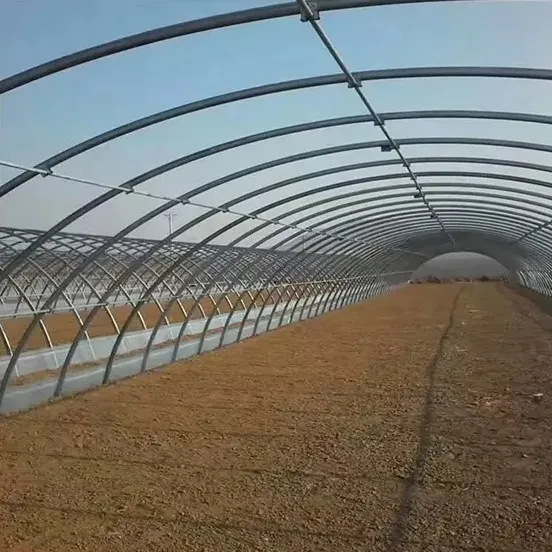 Green House Greenhouse Structure Economic Tunnel Plastic Greenhouse Cheap Price Tunnel Greenhouse