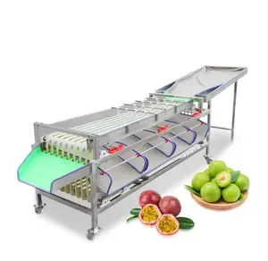 Vbjx Elektronische Tomatenaardappelui Mango Appel Oranje Formaat Optische Sorteer-En Sorteermachine Voor Fruitgroente