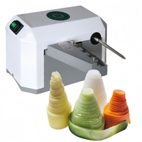 Elektrische groentesnijder machine filament snijmachine rasp voor aardappel radijs chips raamroosters lotuswortel snijder
