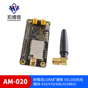 Módulo Lora Hongwei Micro Ants AM020 SX1268 433 470 868 915MHz Inalámbrico para Raspberry Pi - Product Image 5