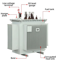 Transformador de Distribución Trifásico de Dos Bobinados Sumergido en Aceite Serie S20-M-30 Rainbow 10.5 KV / 10 KV 400 V 50 Hz