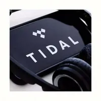 Abonnement Premium Tidal Music 12 mois, comptes Tidal, abonnement Tidal Hifi Plus 1 an
