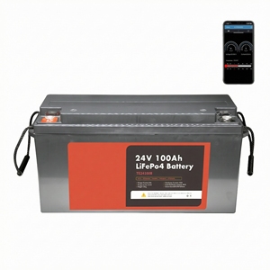 แบตเตอรี่ลิเธียมแบบกำหนดเอง LITHTECH ชุดแบตเตอรี่ลิเธียมไอออน Lifepo4 24V 200ah 25.6v 100ah 200ah ระบบกักเก็บพลังงานแสงอาทิตย์ - Product Image 1