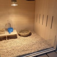 Grande cage en bois pour animaux de compagnie - Hamsters, poulets, lapins et cochons d'Inde - Écologique, durable, deux portes, utilisation intérieure/extérieure
