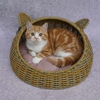 Lit pour chat en rotin PE tressé à la main, coussin doux, motif feuille écologique, mignon, confortable, respirant, lavable, résistant à l'usure - Grande Vente