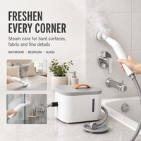 Limpiador a Vapor Portátil para el Hogar, Limpieza de Campanas de Cocina, 110V 220V, Generador de Vapor con Certificación CE
