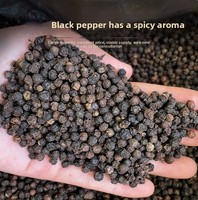 Poivre noir cru séché en vrac, transformé par procédé AD, grandes baies, 500g, 25kg, qualité alimentaire, épice pour l'exportation, service d'emballage personnalisé OEM