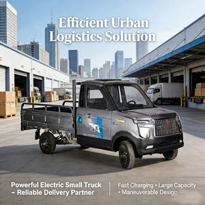 Camionnette électrique à faible consommation d'énergie, nouvelle génération, petite camionnette, charge en 6 heures, vitesse 50 km/h - Product Image 5