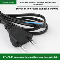 Cordon d'alimentation standard UE à deux tours, 2 conducteurs 0,75 mm, 5 m, fiche à deux broches, connexion à fils nus, classe 0