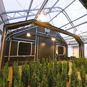 Simple Installation Single Arch Greenhouse,Total Blackout Protection,Water Storage Design Dry Area Use Single Span Blackout Film - Product Image 3
