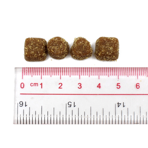 Suppléments pour animaux de compagnie Calming Chews Private Label Supplément pour friandises pour chiens Nutrition naturelle pour animaux de compagnie Prébiotiques et probiotiques pour chien et chat - Product Image 2