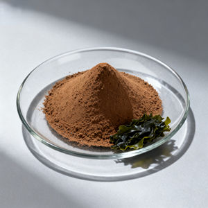 순수 천연 블래더랙 추출물 분말 후쿠스 베시쿨루스 추출물 최저가 공급 - Product Image 2