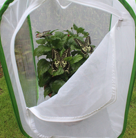 Vert Pliable Papillon Habitat Cage Fermeture À Glissière Pop-up Insecte Élevage Maille Net Maison pour Insectes Papillons