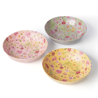 Ensemble de bols à ramen personnalisés en mélamine avec décalcomanie intérieure et extérieure en couleur pour le dîner ou la salade