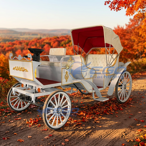 Calèche royale à chevaux électrique personnalisable par le fabricant pour mariages, excursions panoramiques et hôtels - Product Image 4