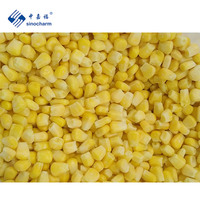 Sinocharm nouvelle culture maïs jaune grains de maïs sucré congelé IQF