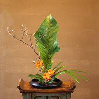 Pengaturan bunga Cina, piring terbang keramik, pot bunga besar, kapal pengaturan bunga, bonsai, tanaman pot
