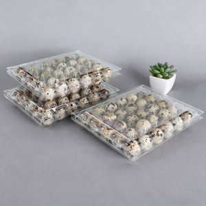 ถาดใส่ไข่30ฟองสำหรับสัตว์เลี้ยงถาดพลาสติกใสแบบใช้แล้วทิ้งถาดใส่ไข่นกกระทาสำหรับใส่ไข่30ฟอง - Product Image 3