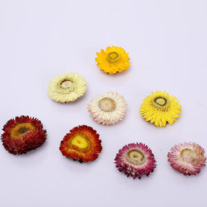 Fiori secchi per resina all'ingrosso <span class=keywords><strong>paglia</strong></span> crisantemo piccola testa <span class=keywords><strong>di</strong></span> <span class=keywords><strong>fiore</strong></span> margherita essiccata testa <span class=keywords><strong>di</strong></span> crisantemo colorato per cornice per foto - Product Image 3