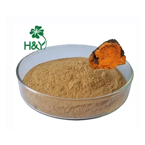 Wholesale High Quality Extract Capsule Chage Powder Chaga Mushroom